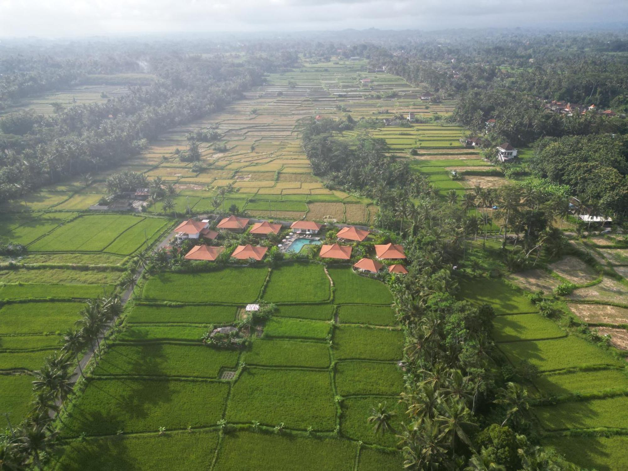 Kampung Uma Dawa Villas And Spa Ubud Dış mekan fotoğraf