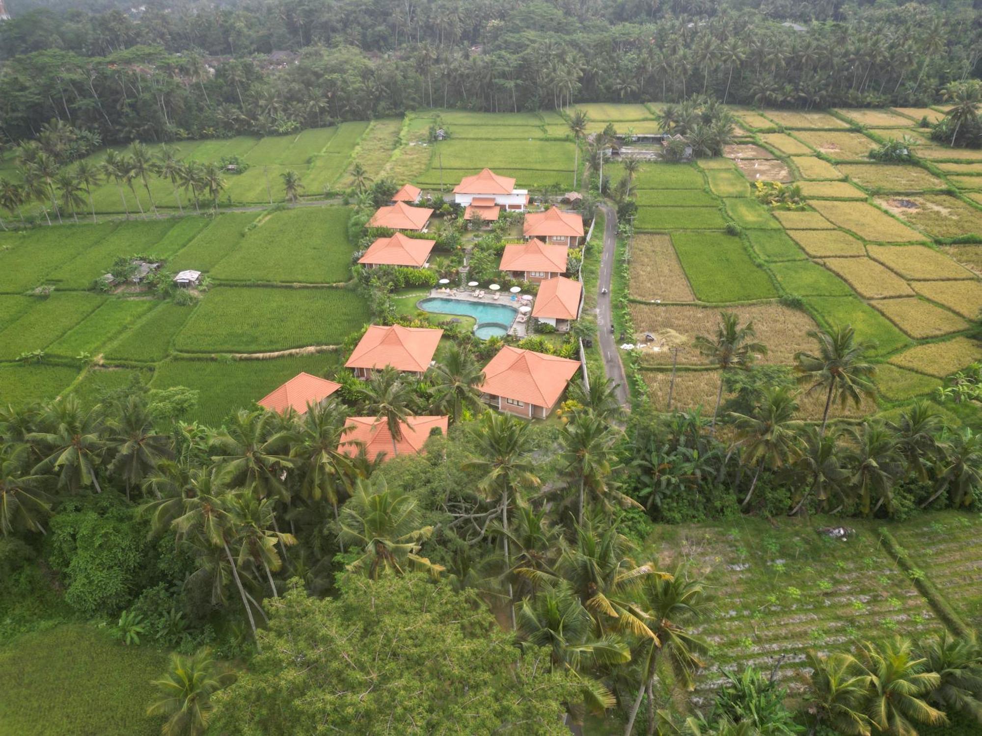 Kampung Uma Dawa Villas And Spa Ubud Dış mekan fotoğraf